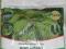 NAWÓZ MINERALNY POD IGLAKI 3kg Planta FV