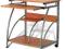 BIURKO/STOLIK  POD  KOMPUTER 307 T 2 kolory