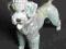 Pudel Rosenthal figurka psa