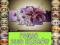 GENIALNE KWIATY fiolet obraz malowany 150x70 SZOK
