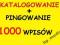 KATALOGOWANIE 1000 wpisów / pozycjonowanie / PING