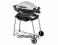 WEBER 20037 GRILL GAZOWY Q100 STATIO TYTAN