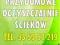 USŁUGI MINIKOPARKĄ  - ELEKTRYKA - OCZYSZCZALNIE