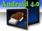 4 GB TABLET VORDON 7 cali Android 4.0 ICS 512 RAM