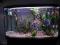 W 100 % WYPOSAŻONE AKW ARIUM, PALETKI, OKAZJA