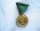 Medal Węgry królewskie