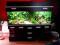 AKWARIUM ROŚLINNE ZESTAW NOVA SUPER KOMPLET MONTAŻ