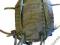 PLECAK PATROLOWY MOLLE - ZIELONY, OLIV
