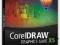 CorelDRAW GS X5 PL Win Upgrade BOX f-ra VAT