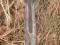 Stary miecz z Kongo - plemię Salampatsu