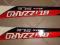 NARTY BLIZZARD SLR RACE MAGNESIUM 167 CM