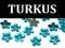 LIKWIDACJA__ Kwiatki akryl _____ TURKUS____ 50 szt