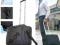 WALIZKA TROLLEY NA LAPTOP  LOTNICZA