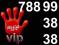 JAK ZŁOTY NUMER HEYAH  VIP STARTER 788__99__38__38