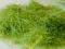 trawka elektrostatyczna - ZIELONA - nowa