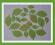 SCRAPKI  LISTKI  1,5 i 2,5cm/100 szt
