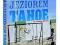 NAD JEZIOREM TAHOE (DVD) VIVARTO - PRIOR.!