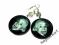 albert einstein kolczyki decoupage promocja