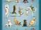 YOGA DOGS - Pies - Psy - zabawny plakat 91,5x61 cm