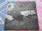 PINK FLOYD - TOUR 72 [1 PRESS].SUPER RARYTAS
