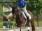Podstawowe szkolenie młodego konia wierzchowego