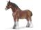 NOWE SCHLEICH OGIER RASY CLYDESDALE 13670