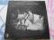 THE VELVET UNDERGROUND - SAME [2 PRESS.UK]