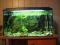 Akwarium 80x35x45 prostokątne w dobrej cenie