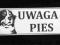 TABLICZKA, TABLICZKI UWAGA PIES GRAWEROWANA 15x5cm