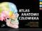 ATLAS ANATOMII NETTERA NETTER - NOWE WYD. 2011 !!!