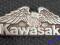 KAWASAKI Eagle Orzeł Pins Odznaka Pin