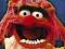 Mapety (The Muppets Animal) - plakat 61x91,5 cm