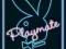 Playmate (Neon) - plakat 61x91,5 cm