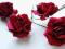 wyprzeadż RÓŻE, RÓŻYCZKI papierowe ciemnoróżowe