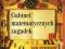 GABINET MATEMATYCZNYCH ZAGADEK - IAN STEWART  NOWA