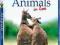 ANIMALS IN LOVE , Blu-ray , PL LEKTOR , SKLEP W-wa