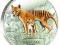 TYGRYS TASMAŃSKI 1 $ TASMANIAN TIGER TUVALU  2011