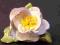 Kwiat porcelanowy........Volkstedt (2)