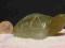 Żółw -żad (jade) nefryt owy- rzeźba kamień