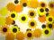 [totti-10] scrapki SŁONECZNIKI 3,7  cm