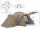 Namiot rodzinny Cavery Hannah Canyon 6-9os.