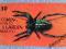 !!! Dania, Fauna, Pająk !!! OKAZJA !!!