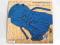 Jennifer Warnes & Cohena - Famous Blue Raincot