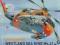 Mały Modelarz 10-11-12/08 Westland Sea King Mk.41