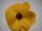 Broszka -kwiat filc żółty polny...