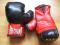 THE CHAMP,rękawice bokserskie +ochraniacz na głowę
