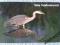 !!! SZWECJA, Fauna, Ptak, Ptaki !!! OKAZJA !!!
