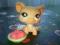 FIGURKA LPS LITTLEST PET SHOP (24)