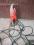 POMPA WODY PATTFIELD E-STP 8517 850 W POLECAM