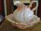 porcelanowy sygnowany dzban z misą